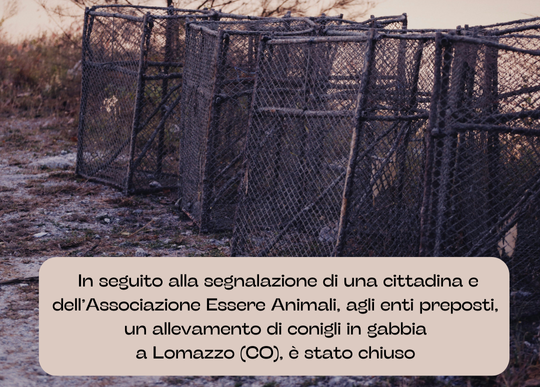 allevamento conigli chiuso a CO.png